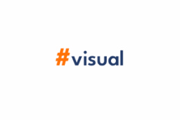 visual