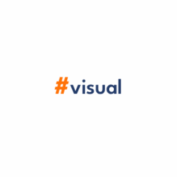 visual