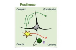 Modelo Cynefin - resiliencia