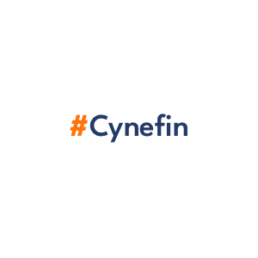 Cynefin