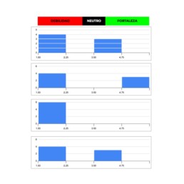 Resultados Modelo de Madurez de equipos