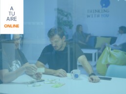 Curso Online Diseño Organizacional